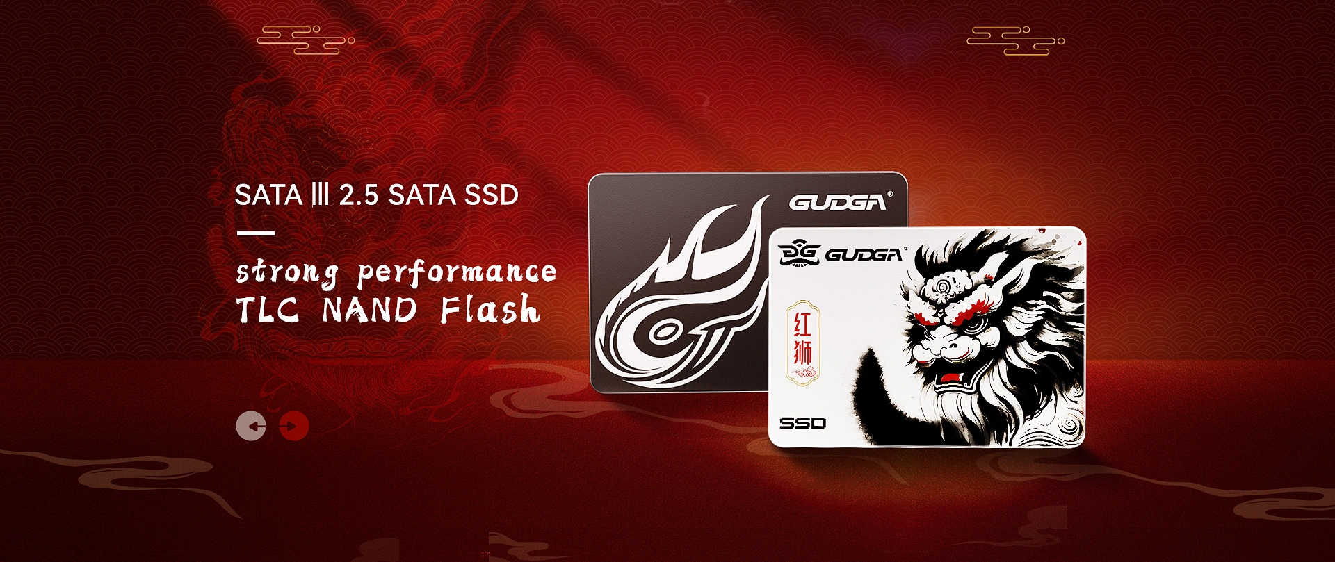 کوالٹی 2.5 SATA SSD ہول سیل مینوفیکچرر