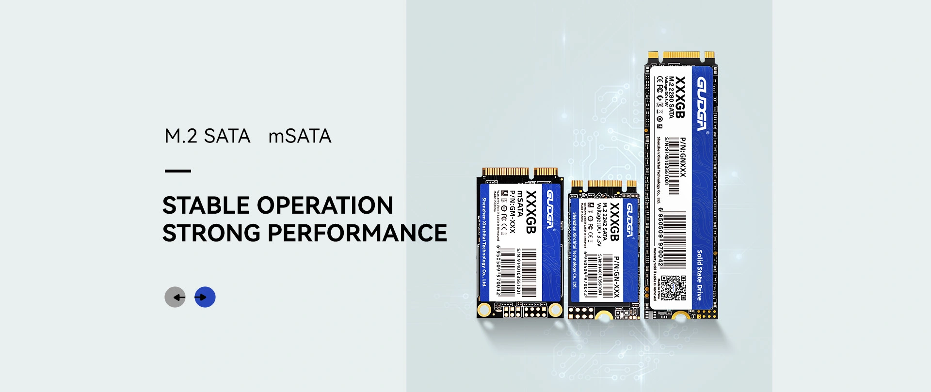 چین ڈسکاؤنٹ M.2 SATA SSD مینوفیکچرر