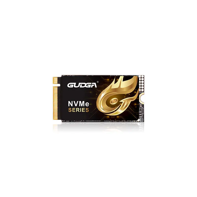2242 لمبائی PCIE 4.0 NVMe SSD 7000MB/s